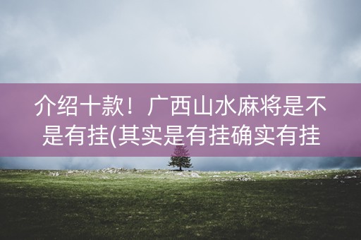 介绍十款！广西山水麻将是不是有挂(其实是有挂确实有挂)