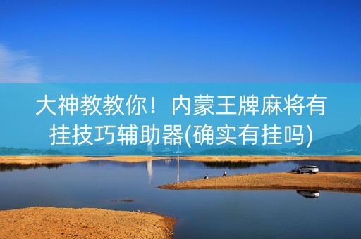 大神教教你！内蒙王牌麻将有挂技巧辅助器(确实有挂吗)