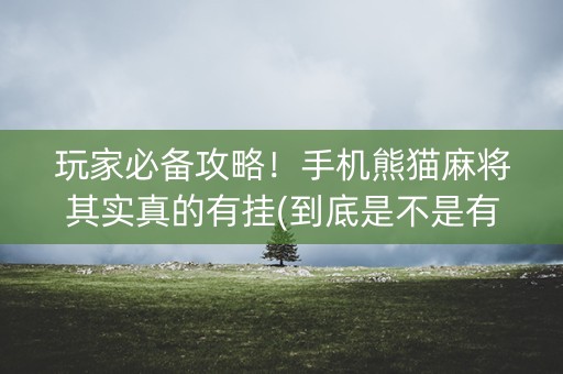 玩家必备攻略！手机熊猫麻将其实真的有挂(到底是不是有挂)