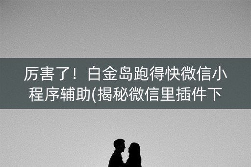 厉害了！白金岛跑得快微信小程序辅助(揭秘微信里插件下载)