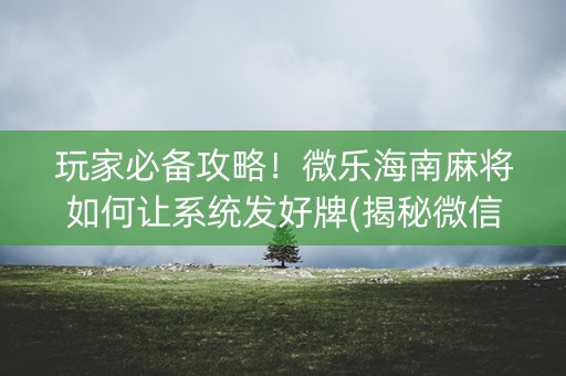 玩家必备攻略！微乐海南麻将如何让系统发好牌(揭秘微信里专用神器下载)