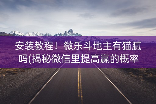 安装教程！微乐斗地主有猫腻吗(揭秘微信里提高赢的概率)