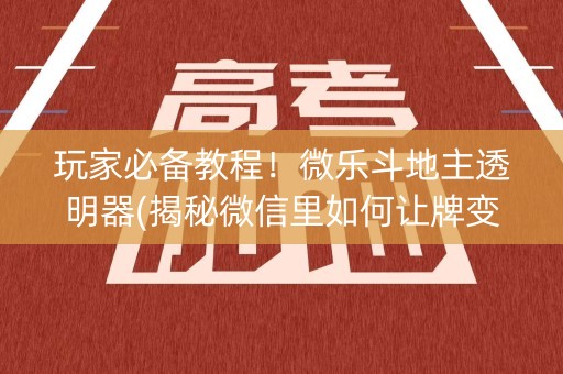 玩家必备教程！微乐斗地主透明器(揭秘微信里如何让牌变好)