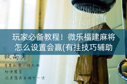 玩家必备教程！微乐福建麻将怎么设置会赢(有挂技巧辅助器)