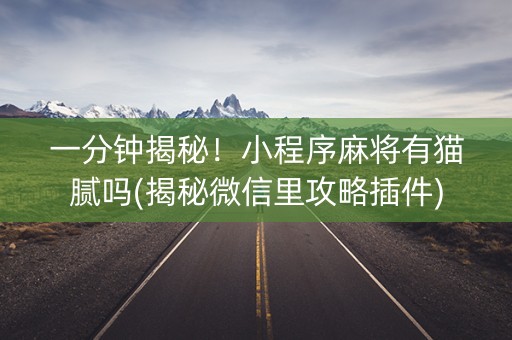 一分钟揭秘！小程序麻将有猫腻吗(揭秘微信里攻略插件)