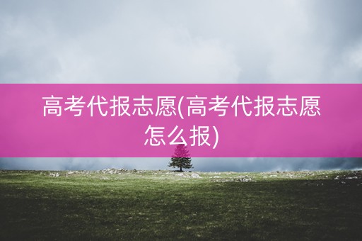 高考代报志愿(高考代报志愿怎么报)