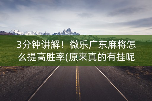 3分钟讲解！微乐广东麻将怎么提高胜率(原来真的有挂呢)