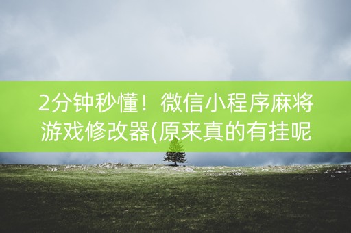 2分钟秒懂！微信小程序麻将游戏修改器(原来真的有挂呢)
