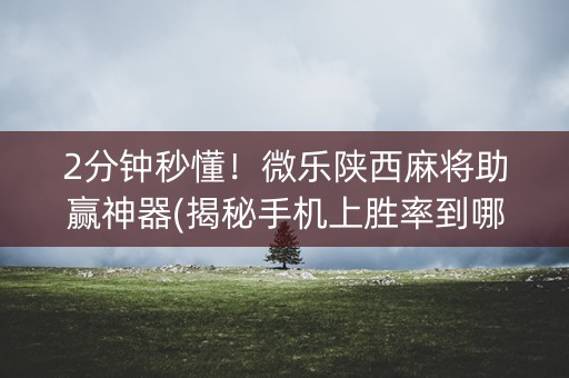 2分钟秒懂！微乐陕西麻将助赢神器(揭秘手机上胜率到哪调)