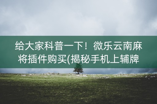 给大家科普一下！微乐云南麻将插件购买(揭秘手机上辅牌器)