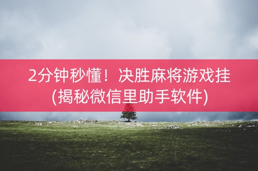 2分钟秒懂！决胜麻将游戏挂(揭秘微信里助手软件)