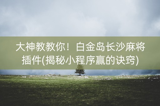 大神教教你！白金岛长沙麻将插件(揭秘小程序赢的诀窍)