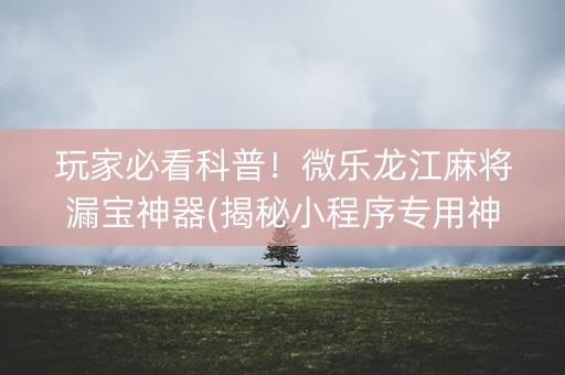 玩家必看科普！微乐龙江麻将漏宝神器(揭秘小程序专用神器)