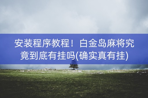 安装程序教程！白金岛麻将究竟到底有挂吗(确实真有挂)
