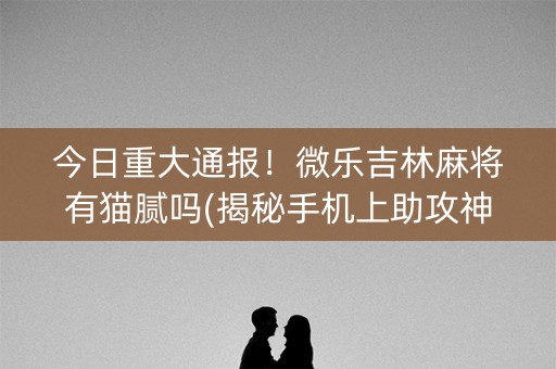 今日重大通报！微乐吉林麻将有猫腻吗(揭秘手机上助攻神器)