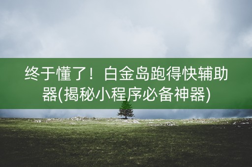 终于懂了！白金岛跑得快辅助器(揭秘小程序必备神器)