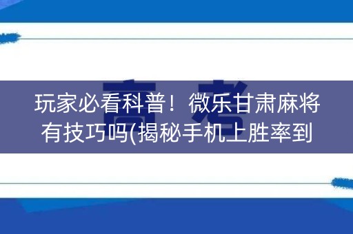 玩家必看科普！微乐甘肃麻将有技巧吗(揭秘手机上胜率到哪调)