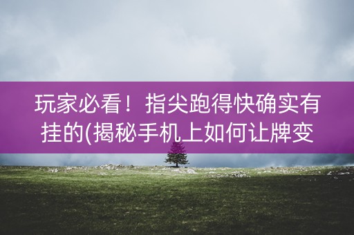 玩家必看！指尖跑得快确实有挂的(揭秘手机上如何让牌变好)