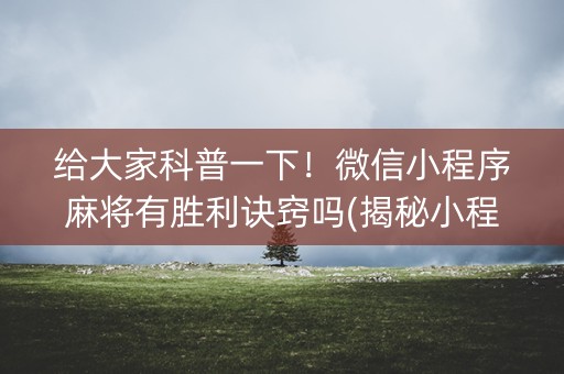 给大家科普一下！微信小程序麻将有胜利诀窍吗(揭秘小程序助手软件)