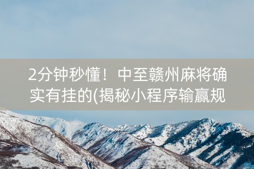 2分钟秒懂！中至赣州麻将确实有挂的(揭秘小程序输赢规律)