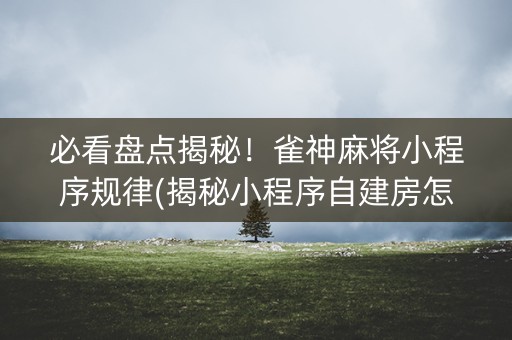 必看盘点揭秘！雀神麻将小程序规律(揭秘小程序自建房怎么赢)