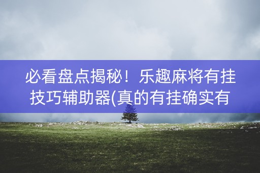 必看盘点揭秘！乐趣麻将有挂技巧辅助器(真的有挂确实有挂)