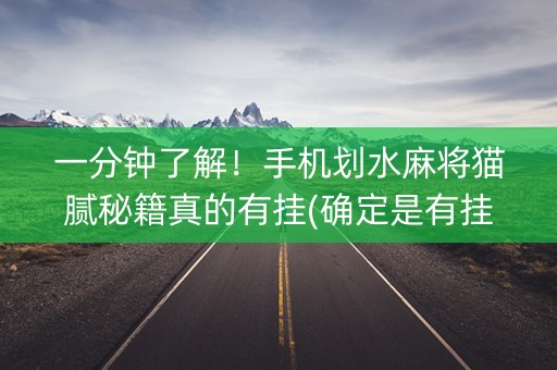 一分钟了解！手机划水麻将猫腻秘籍真的有挂(确定是有挂)