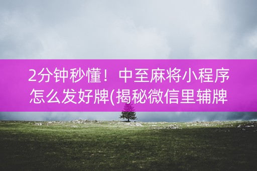 2分钟秒懂！中至麻将小程序怎么发好牌(揭秘微信里辅牌器)