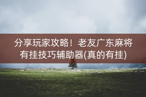 分享玩家攻略！老友广东麻将有挂技巧辅助器(真的有挂)