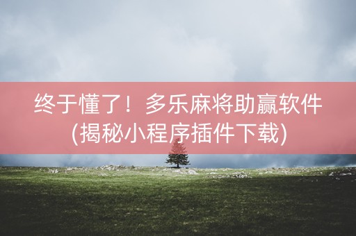 终于懂了！多乐麻将助赢软件(揭秘小程序插件下载)