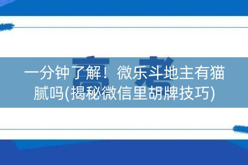 一分钟了解！微乐斗地主有猫腻吗(揭秘微信里胡牌技巧)