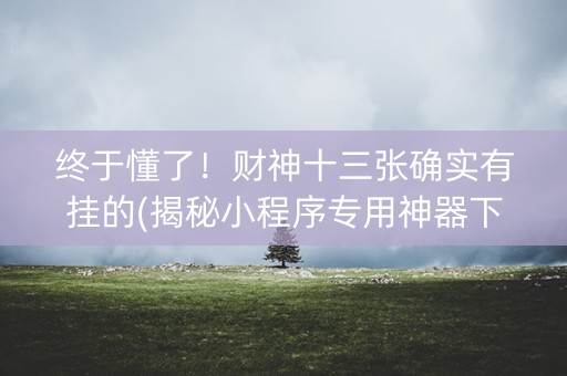 终于懂了！财神十三张确实有挂的(揭秘小程序专用神器下载)