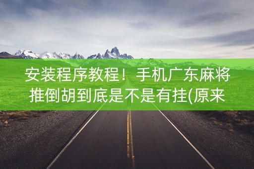 安装程序教程！手机广东麻将推倒胡到底是不是有挂(原来真的有挂)