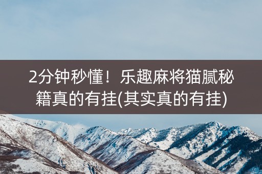 2分钟秒懂！乐趣麻将猫腻秘籍真的有挂(其实真的有挂)