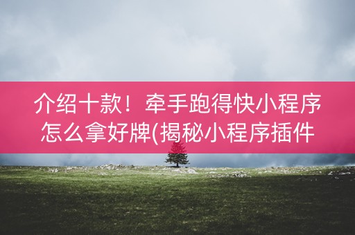 介绍十款！牵手跑得快小程序怎么拿好牌(揭秘小程序插件免费)
