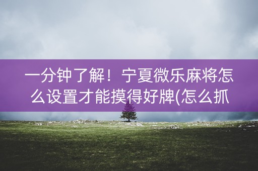 一分钟了解！宁夏微乐麻将怎么设置才能摸得好牌(怎么抓到好牌)