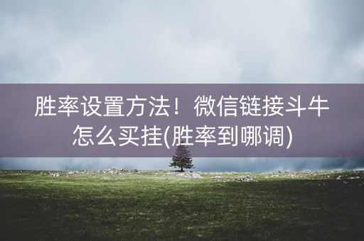 胜率设置方法！微信链接斗牛怎么买挂(胜率到哪调)