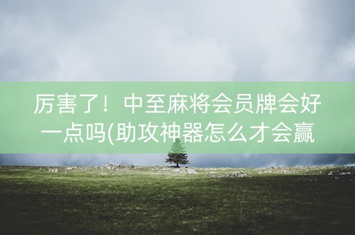 厉害了！中至麻将会员牌会好一点吗(助攻神器怎么才会赢)
