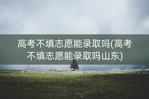 高考不填志愿能录取吗(高考不填志愿能录取吗山东)