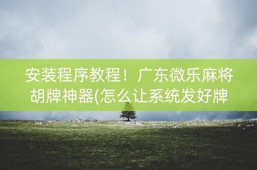 安装程序教程！广东微乐麻将胡牌神器(怎么让系统发好牌)