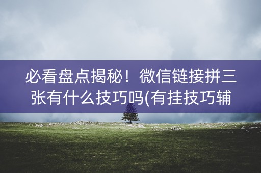 必看盘点揭秘！微信链接拼三张有什么技巧吗(有挂技巧辅助器)
