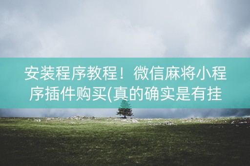 安装程序教程！微信麻将小程序插件购买(真的确实是有挂)