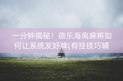 一分钟揭秘！微乐海南麻将如何让系统发好牌(有挂技巧辅助器)