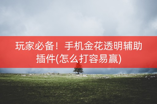 玩家必备！手机金花透明辅助插件(怎么打容易赢)