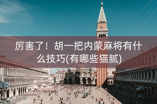 厉害了！胡一把内蒙麻将有什么技巧(有哪些猫腻)