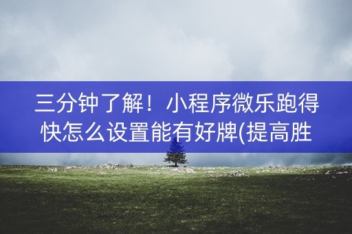 三分钟了解！小程序微乐跑得快怎么设置能有好牌(提高胜率办法)
