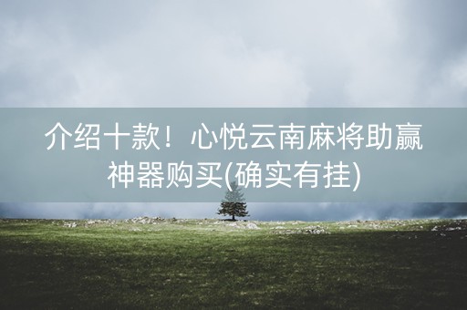 介绍十款！心悦云南麻将助赢神器购买(确实有挂)