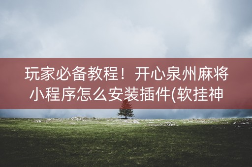 玩家必备教程！开心泉州麻将小程序怎么安装插件(软挂神器)