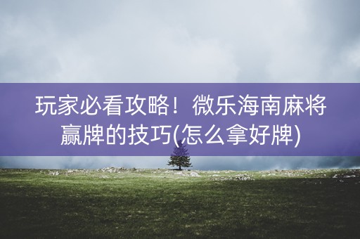 玩家必看攻略！微乐海南麻将赢牌的技巧(怎么拿好牌)