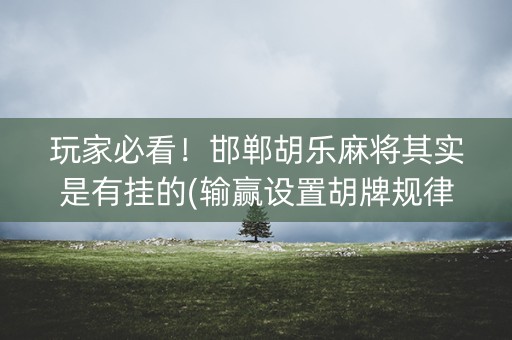 玩家必看！邯郸胡乐麻将其实是有挂的(输赢设置胡牌规律)